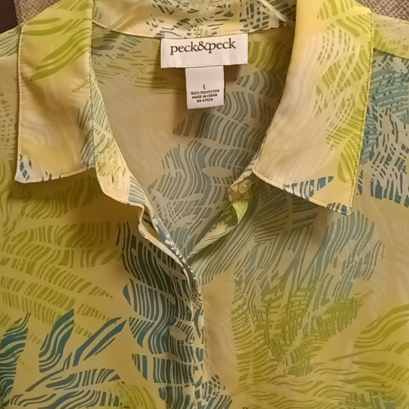peck & peck green multi-colored sheer long sleeve flared hem blouse Size Large - Picture 3 of 3